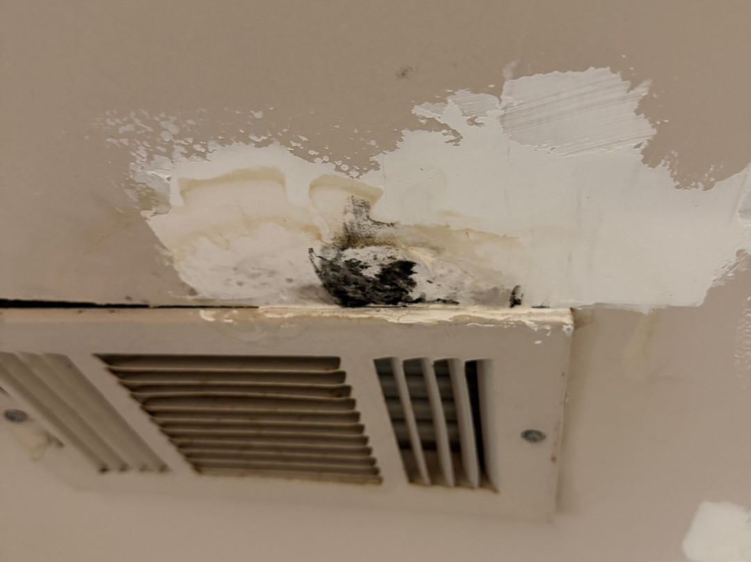 Best Western Plus Jackson Downtown-Coliseum主图