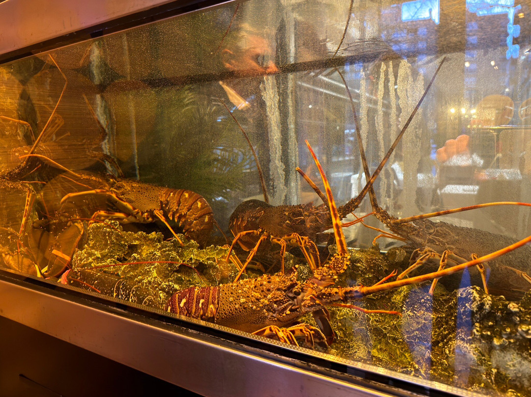 La Cuchara de Martin