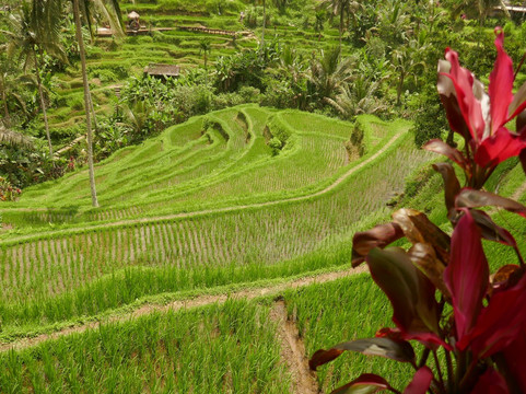 Ekaputra tour-雅加达必去景点