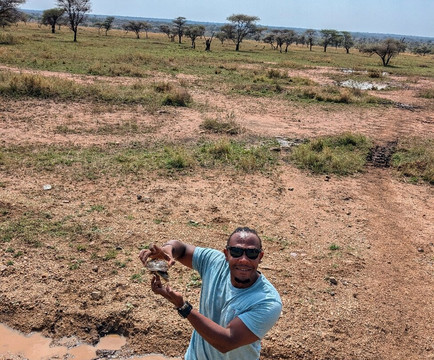 Salt And Pepper Safari-阿鲁沙必去景点