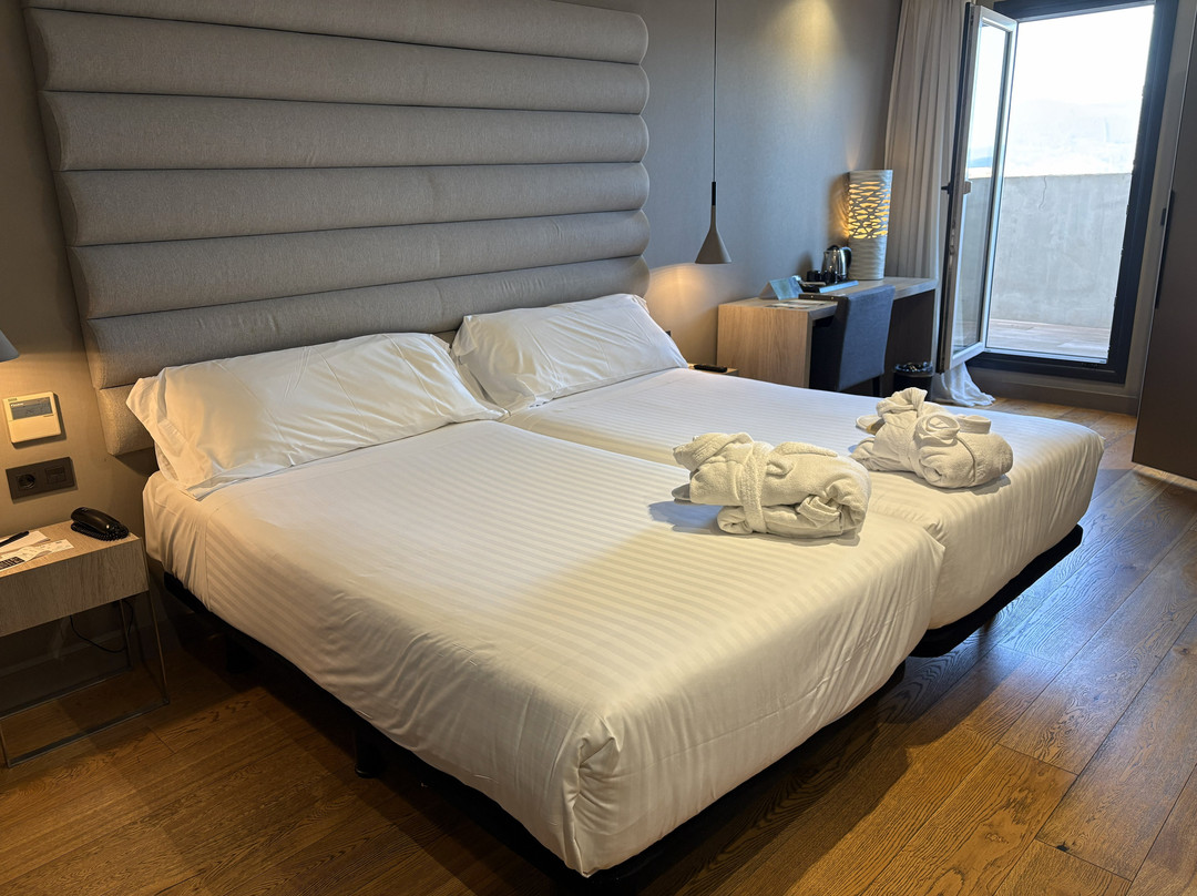 泽尼特维哥酒店