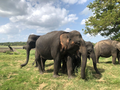 Vikum Tours-卡图纳耶克必去景点
