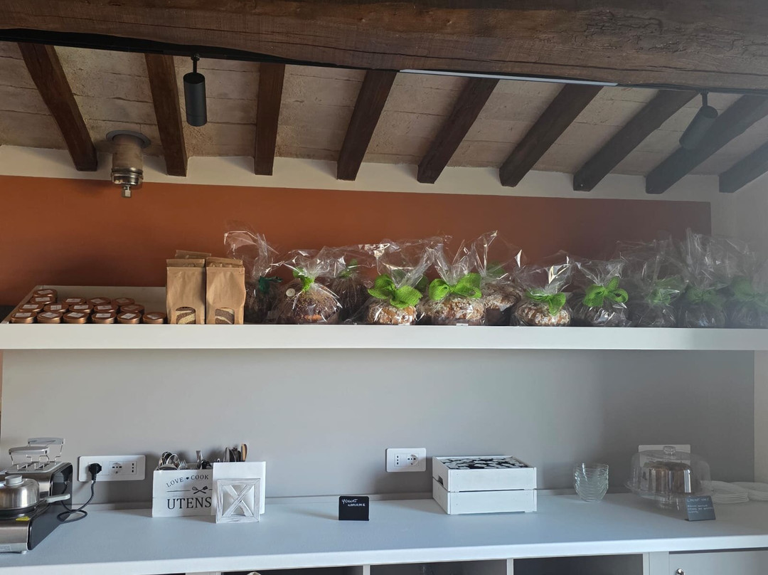 L'Uliveto Magico