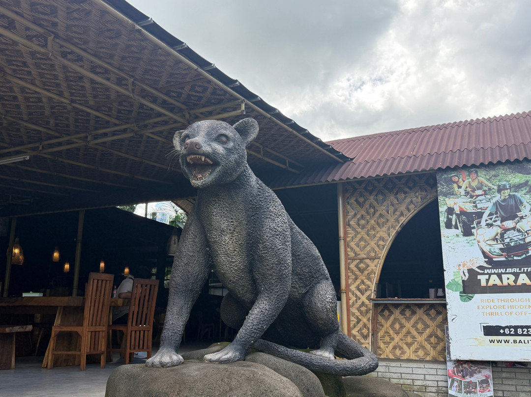 Bali Sun Tours-乌布必去景点