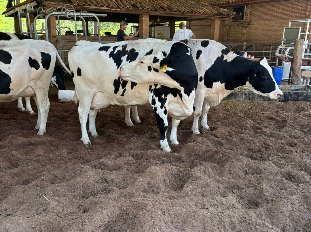 Fazenda Atalaia-Amparo必去景点