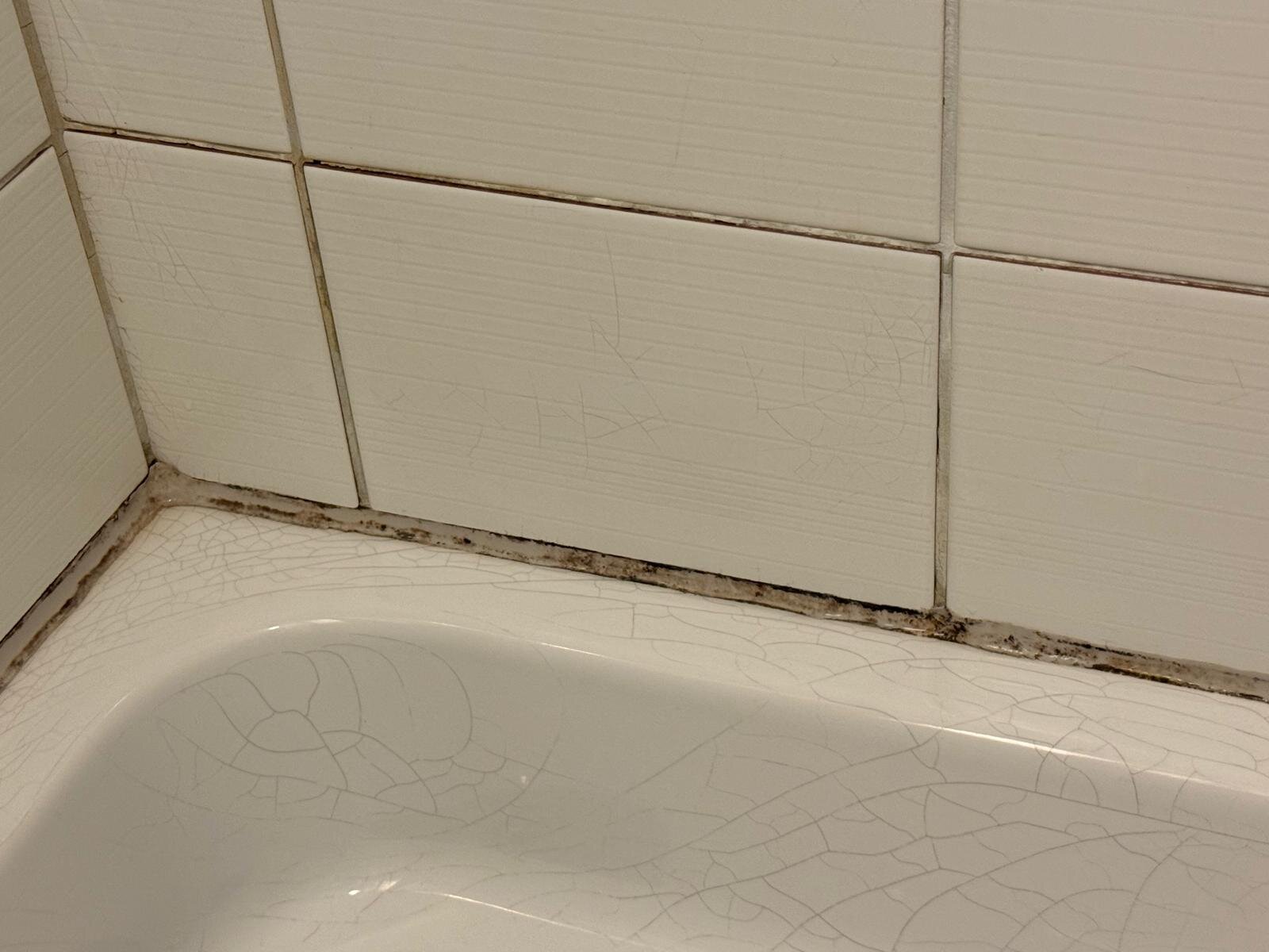 Globales Conti-官方