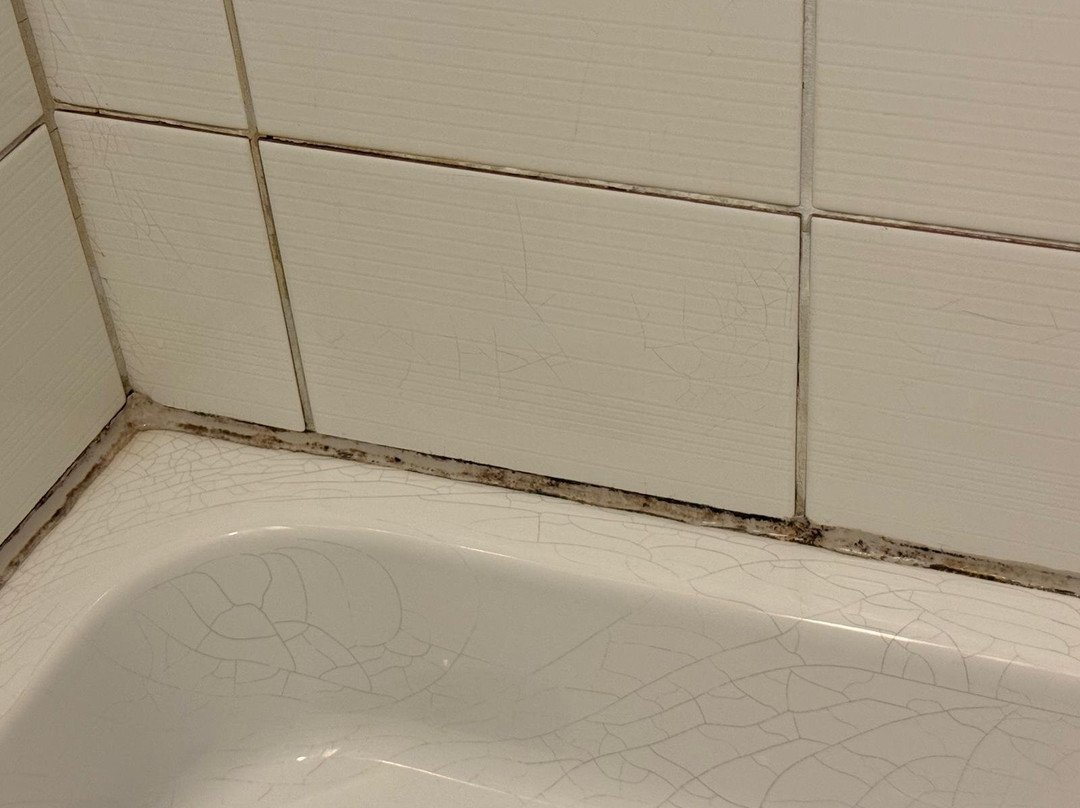 Globales Conti主图