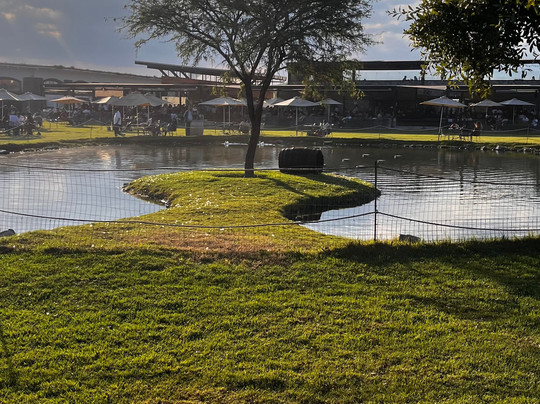 Jar8's Tours-Nanchital de Lazaro Cardenas del Rio必去景点