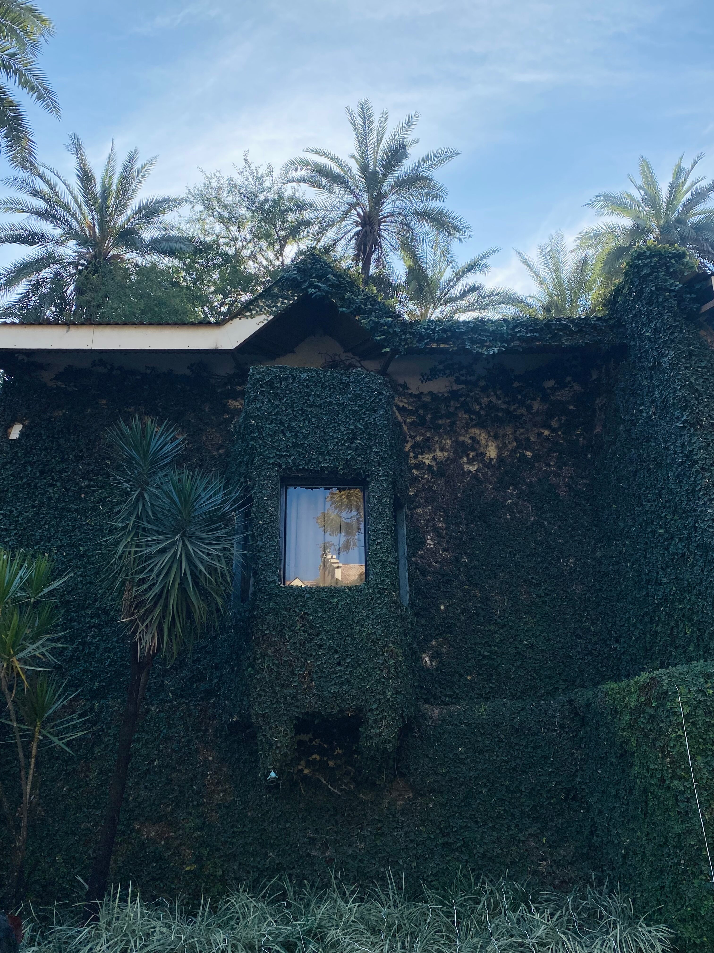 希尔通酒店-官方