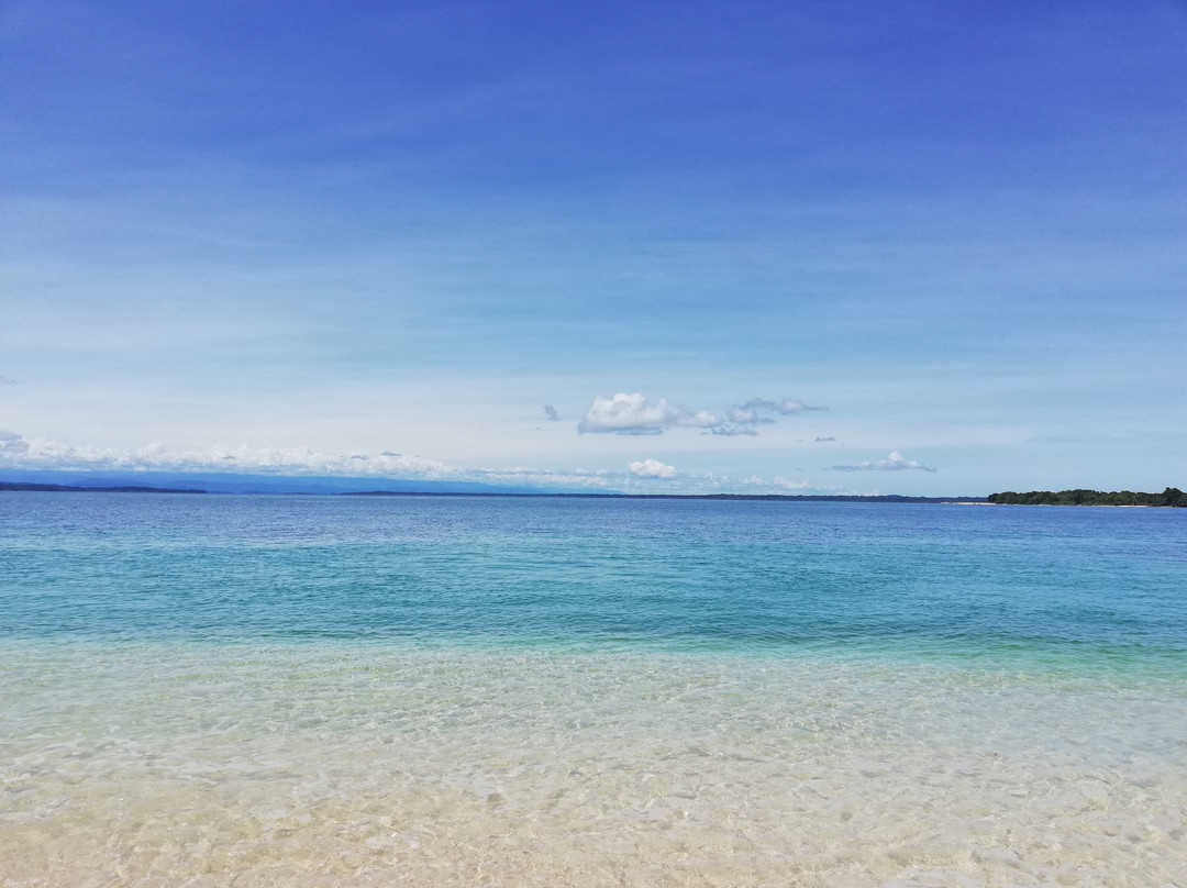 Isla Bastimentos酒店住宿-Tranquilo Bay Eco Adventure Lodge