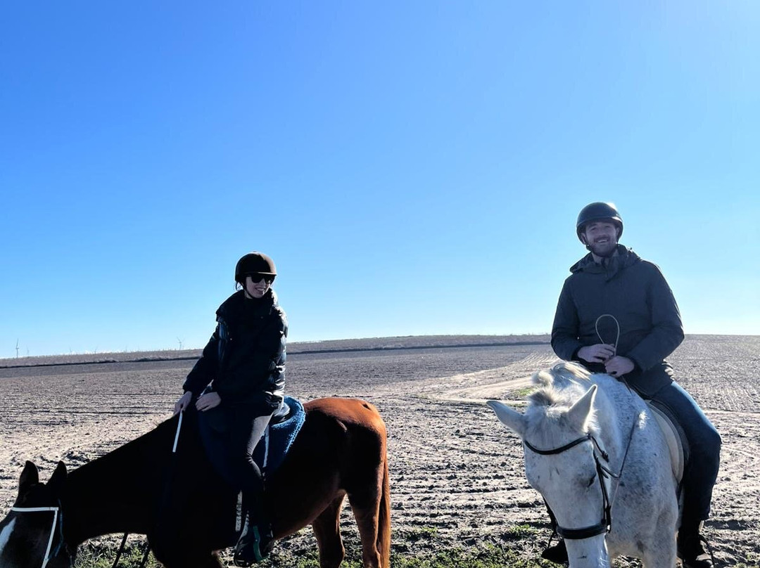 Al-Mesquid Stables-Sanlucar de Barrameda必去景点