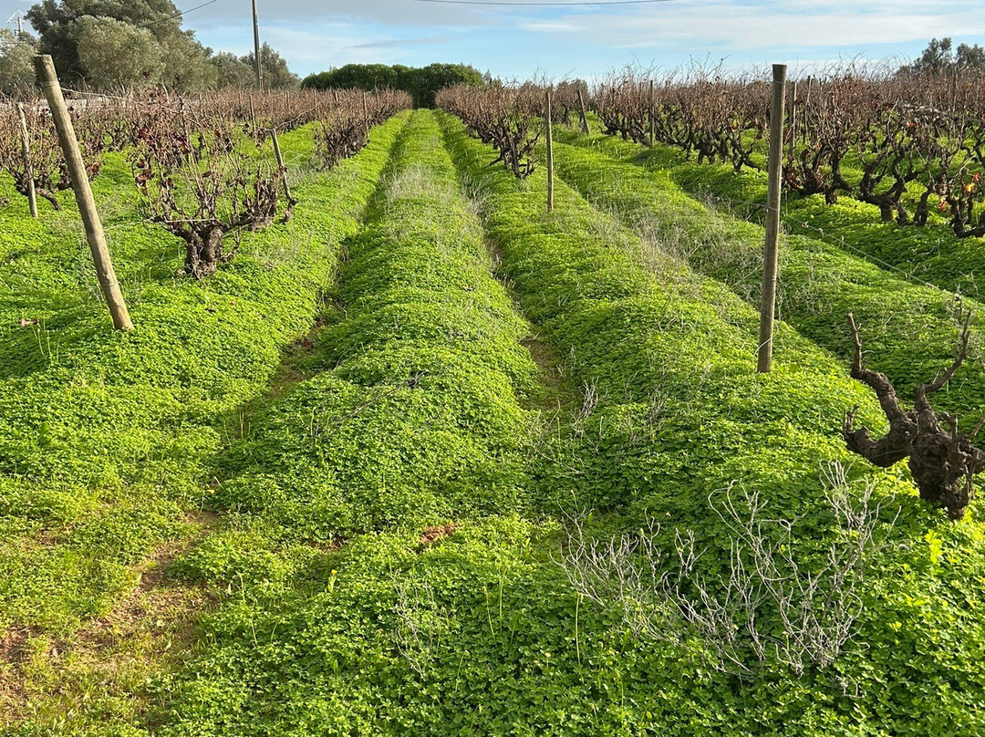 Morgado do Quintão-拉戈阿必去景点