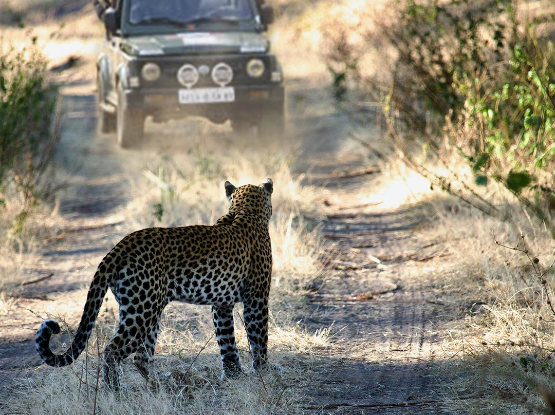 56 Tour And Travels-焦特布尔必去景点