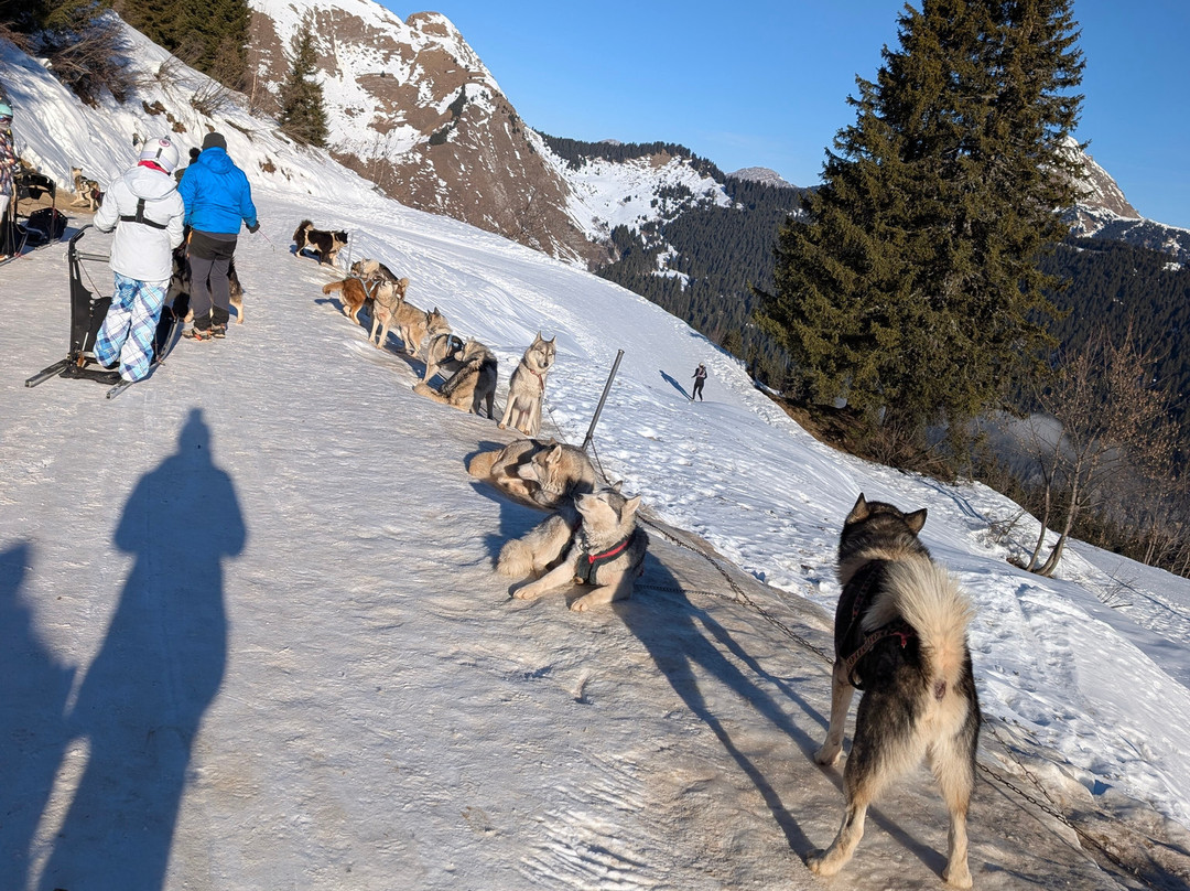 L’Aventure en Traîneau-Vinzier必去景点