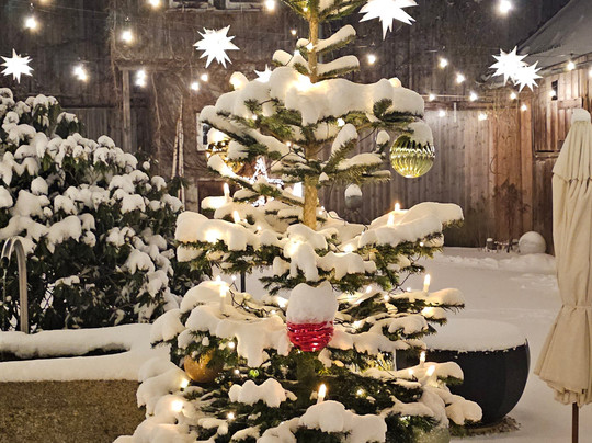 Pension Heindlhof主图