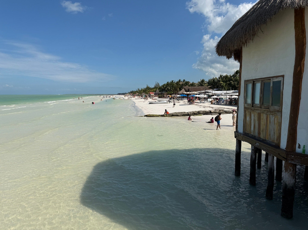 VivaOhlala-普拉亚德尔卡曼必去景点