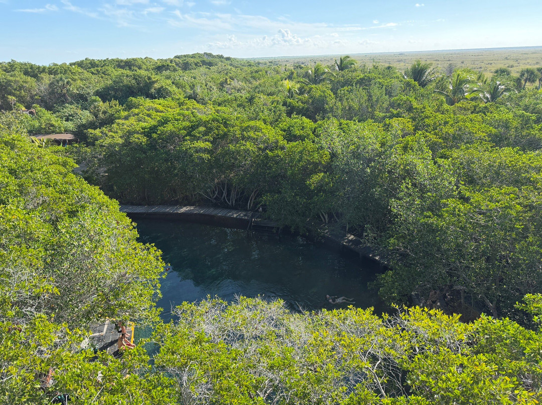 VivaOhlala-普拉亚德尔卡曼必去景点