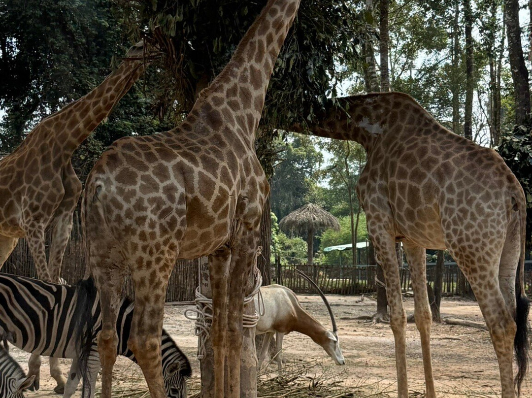 珍珠王国野生动物园-富国岛必去景点