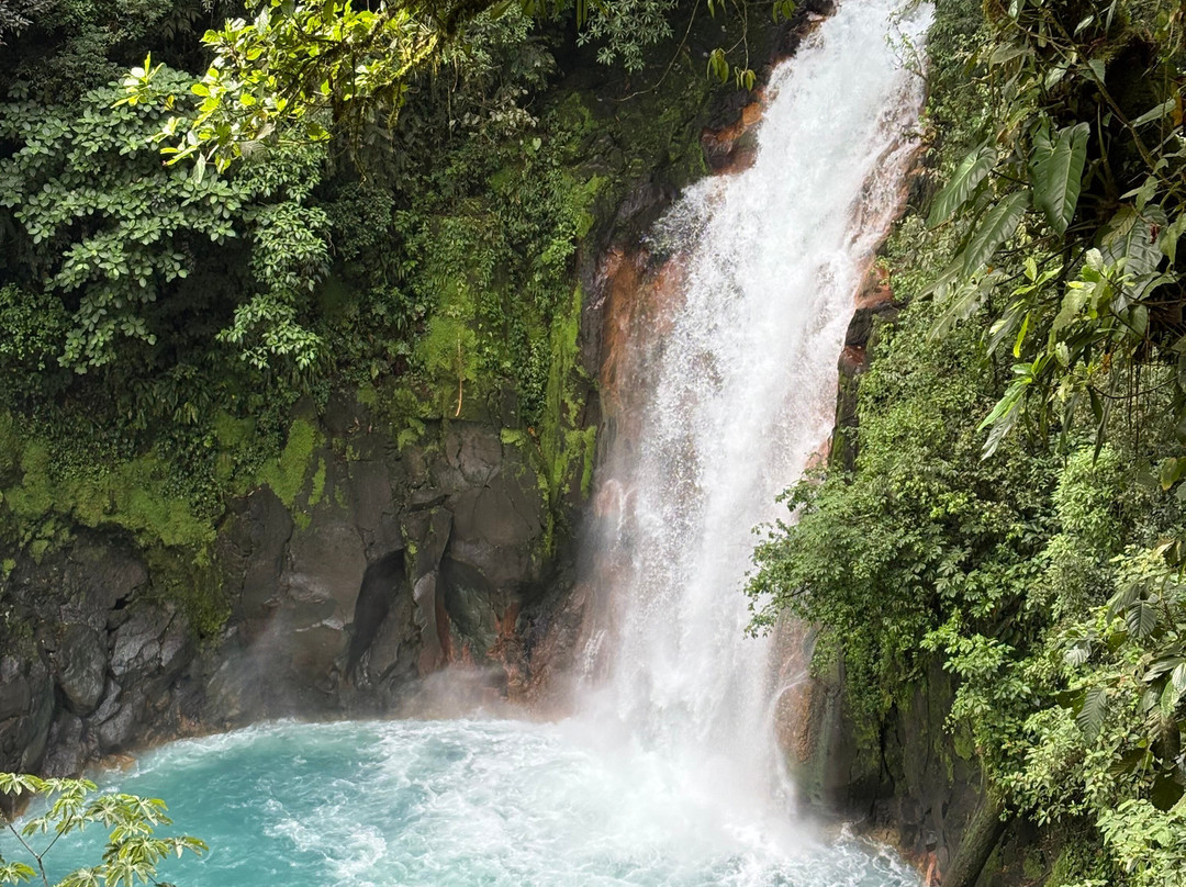 Jacamar Naturalist Tours-利比里亚必去景点