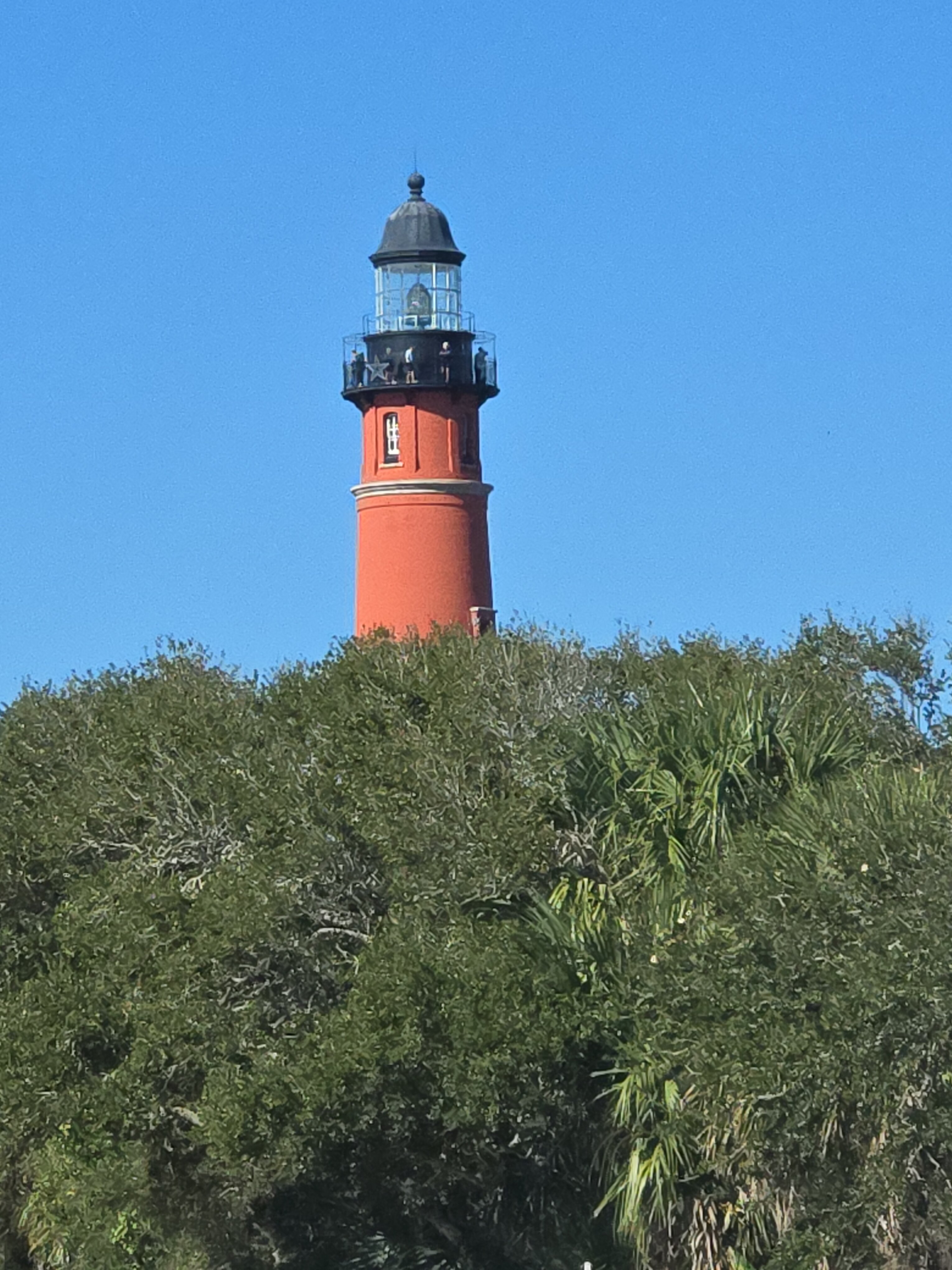 Tropical Manor-官方