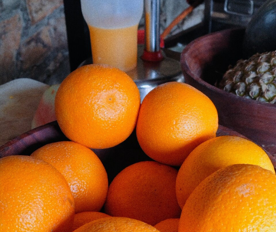 Brij Bageecha Jaipur - Private Villas With Plunge Pool主图