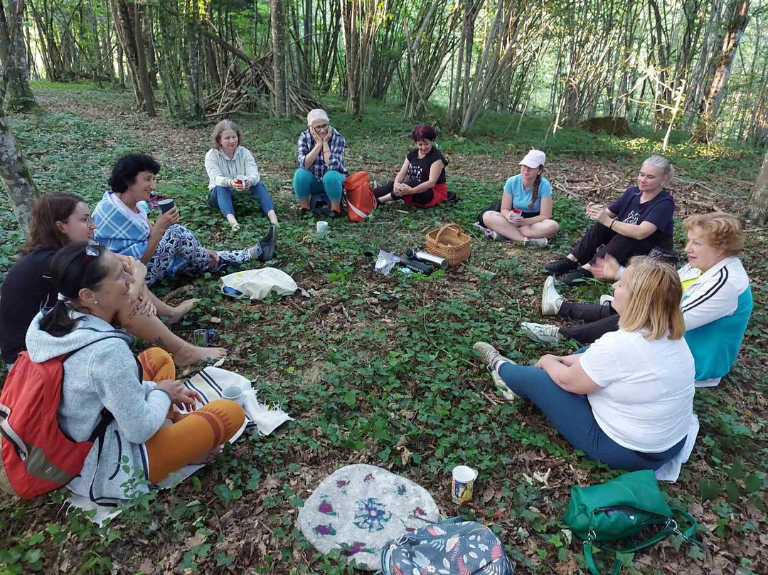 Forest Bathing-forest Therapy