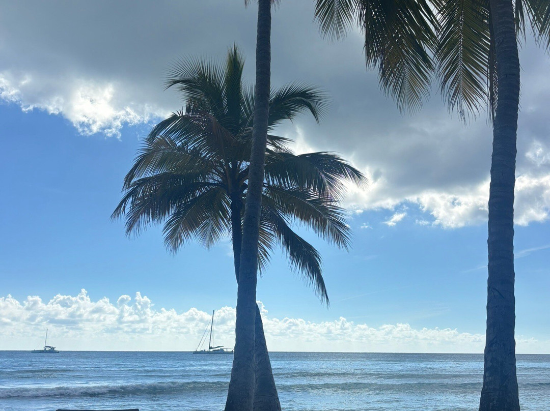 Italcruise-Bayahibe必去景点