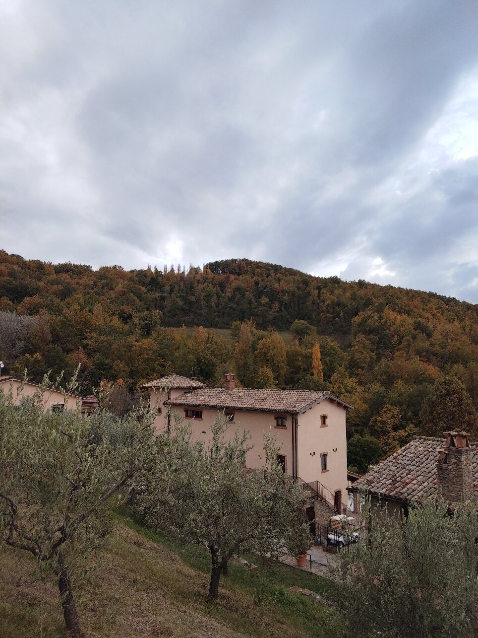 Agriturismo Le Case - Residenza Di Campagna-官方