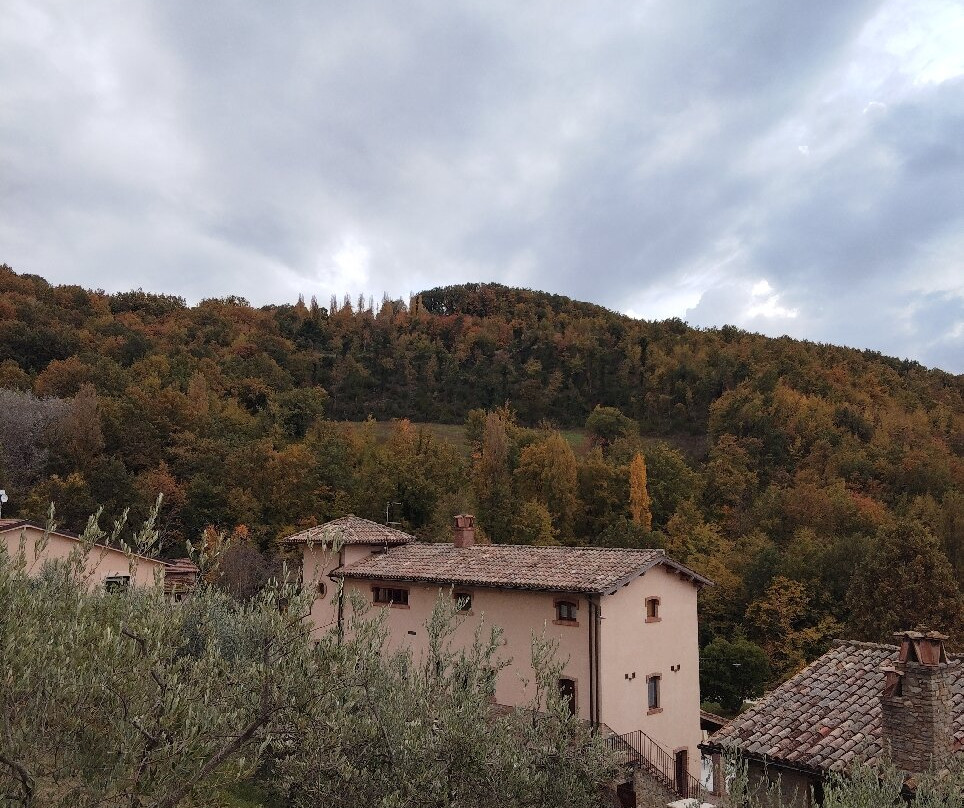 Agriturismo Le Case - Residenza Di Campagna主图