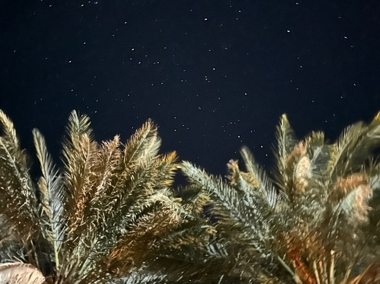 Tihama Trans Tours-非斯必去景点