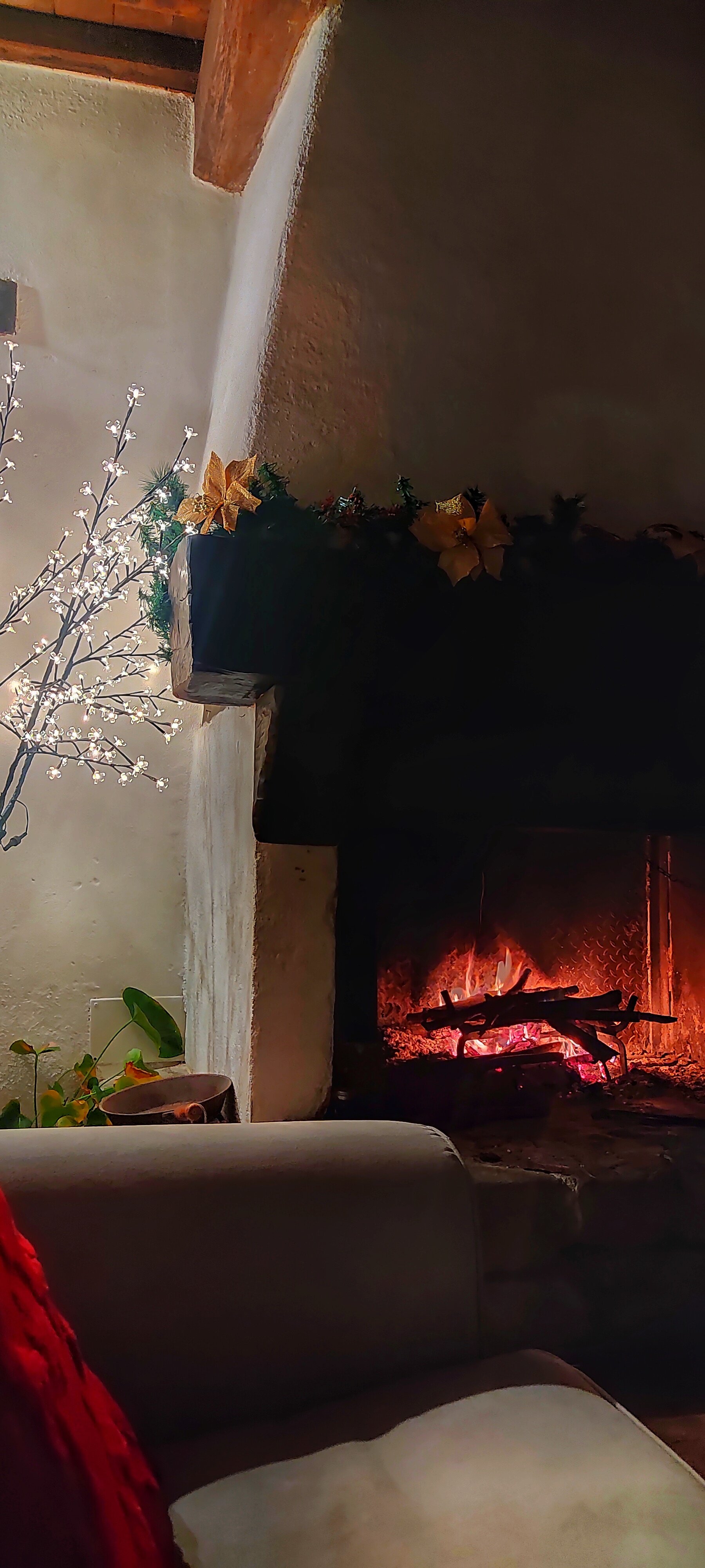 Il Covo Del Solengo-官方