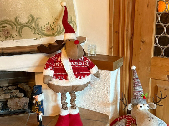 Hotel Der Alpenhof主图