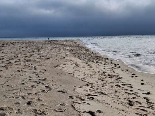 Armona Island-奥良必去景点