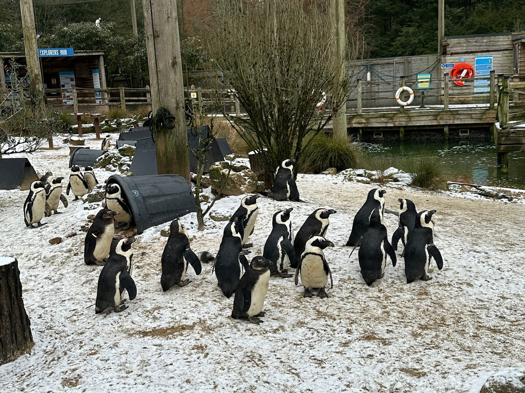 Birdworld-法纳姆必去景点