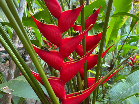 Wareerak Hot Spring & Wellness主图