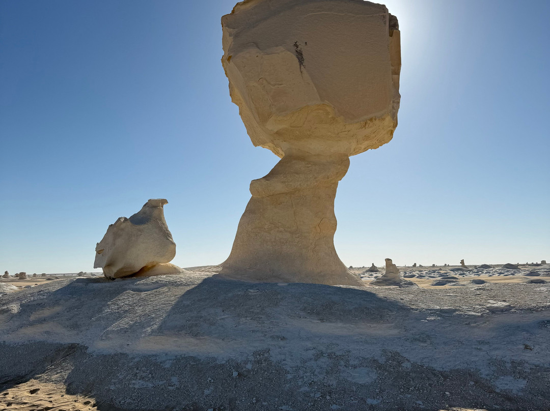 Hamada Desert Safari-Bawiti必去景点