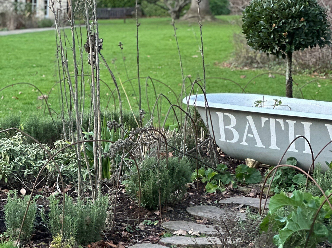 Botanical Gardens at Victoria Park-巴斯必去景点