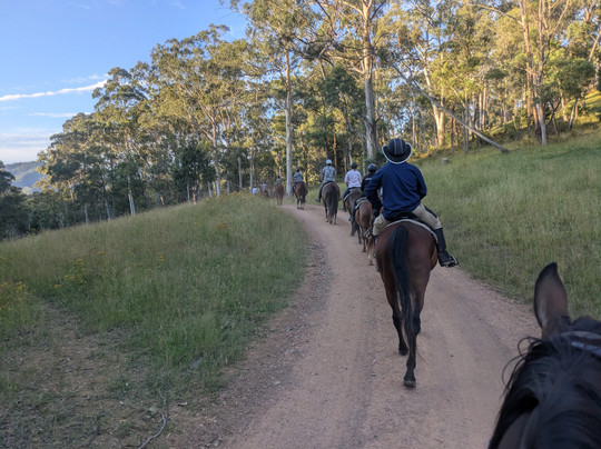Watson's Mountain Country Trail Rides - Day Tours-曼斯菲尔德必去景点