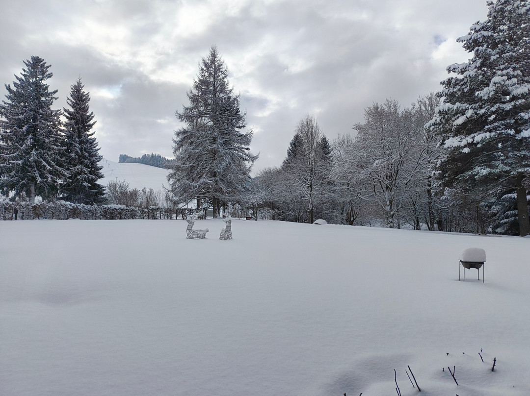 Restaurant Allegrino