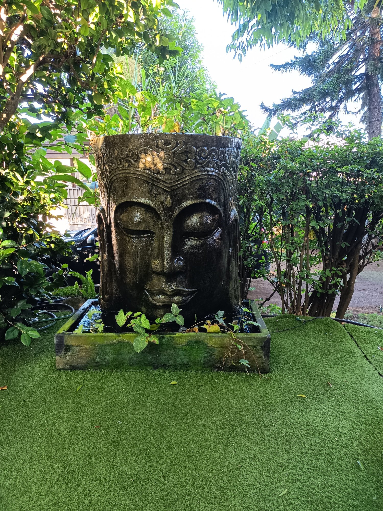 Côte Cannelle-官方