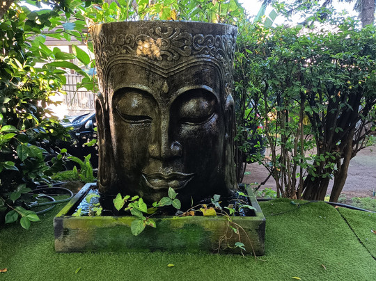 Côte Cannelle主图