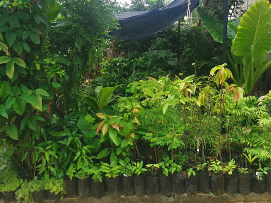 Tizardin-红地必去景点