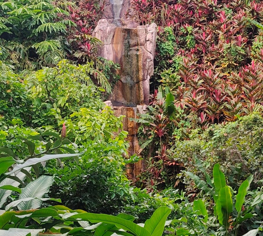 Jardin Botanique de Valombreuse-Petit-Bourg必去景点