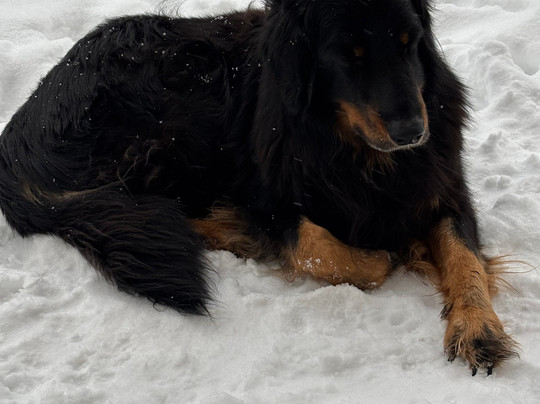 Böhmhof Wellness Und Vitalhotel主图