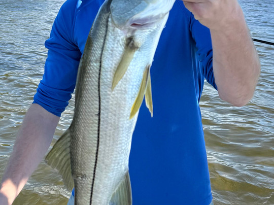 Anna Maria Charters-Holmes Beach必去景点