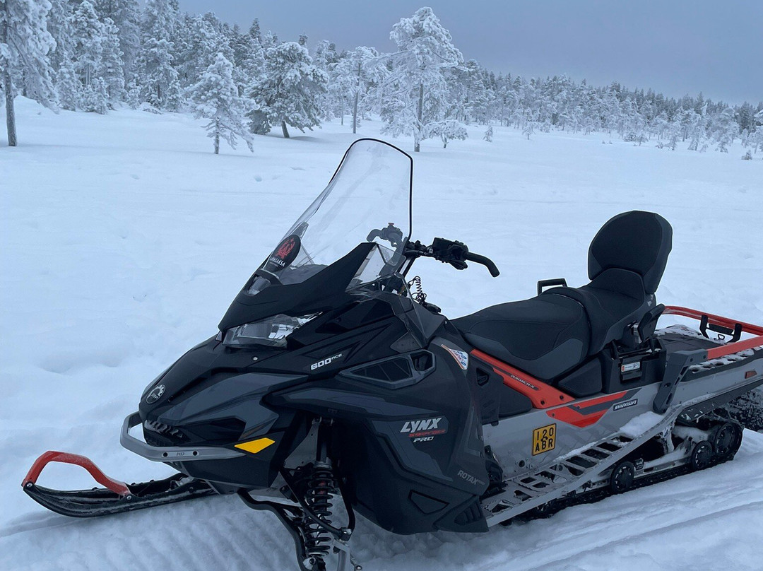 Aavasaksa Adventures-Ylitornio必去景点