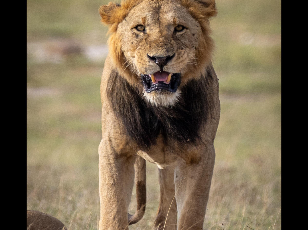 Grand Africa Experiences Ltd-Voi必去景点