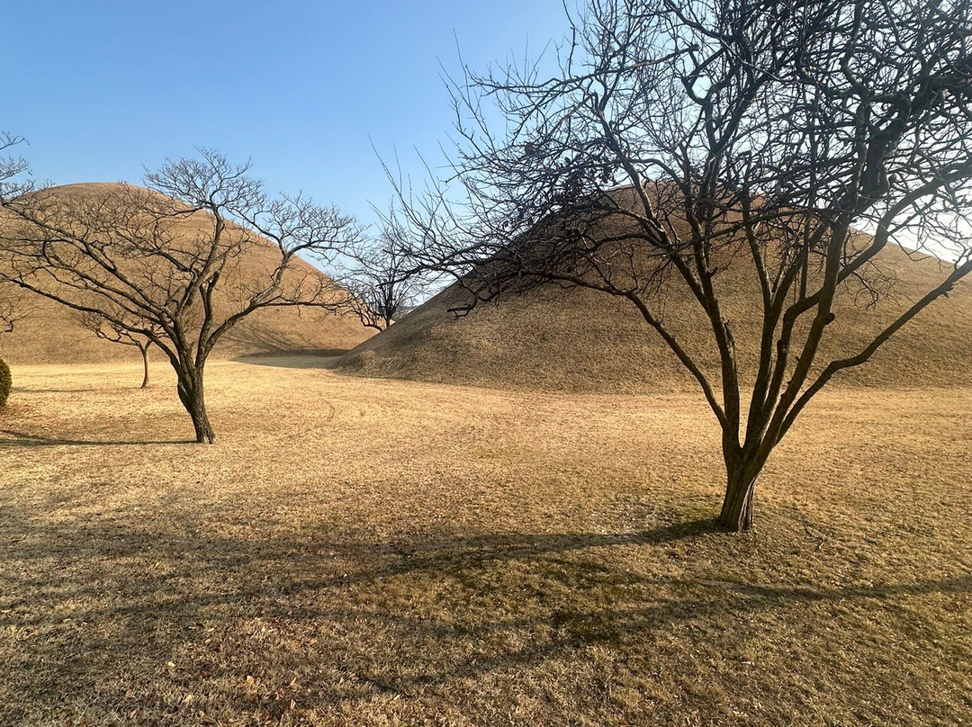 Daereungwon Tomb Complex-庆州市必去景点