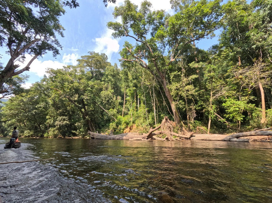 Taman Negara National Park