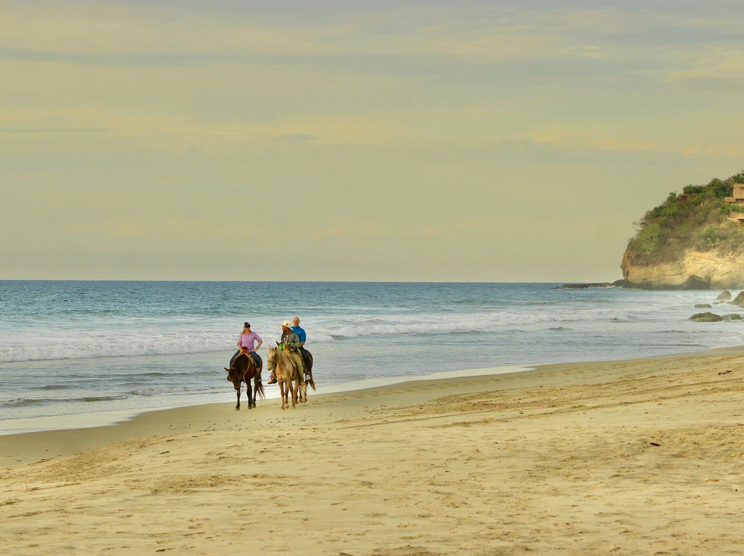Vista Paraiso - Day Tours and Activities-Higuera Blanca必去景点